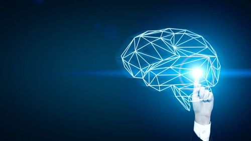 浅谈人工智能 基础概念与软件开发入门